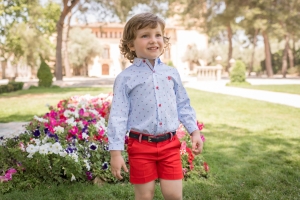 CAMISA DE LA FIRMA DOLCE PETIT